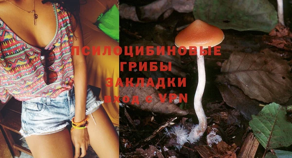 кокаин Белокуриха
