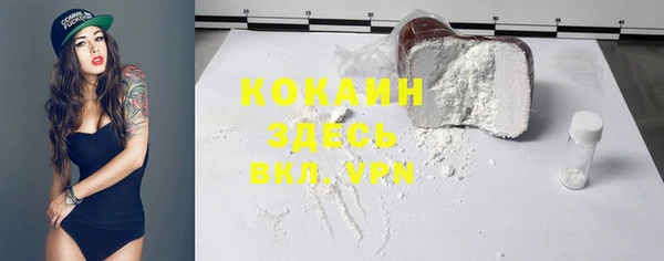 mix Богородицк