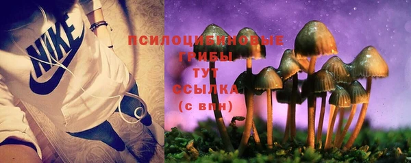 а пвп мука Беломорск